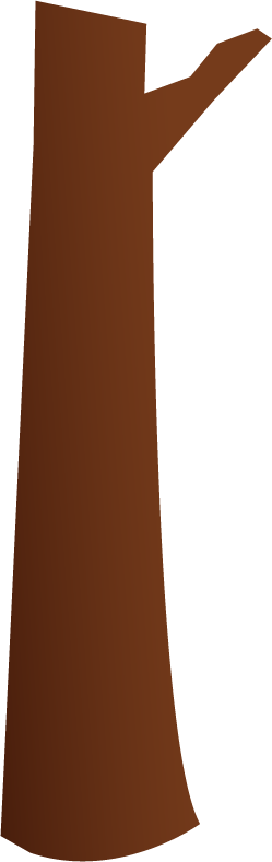 Bush